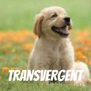 Transvergent