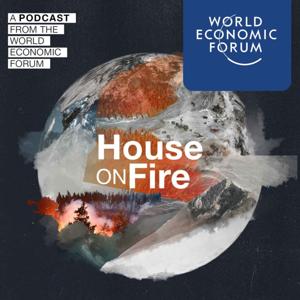 House on Fire by James Bray and Keyaira Kelly, World Economic Forum