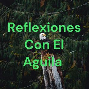 Reflexiones Con El Aguila