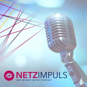 NetzImpuls