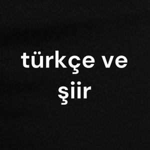 türkçe ve şiir