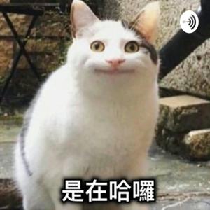 寶寶水水聊天趣