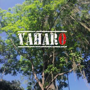 Proyecto Yaharo