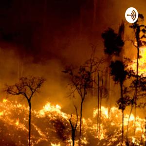 Queimadas na Amazônia