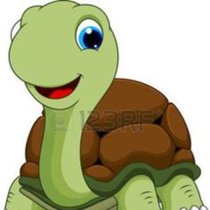 Uga la tortuga