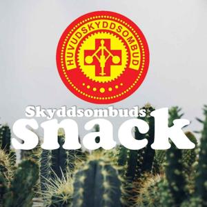 Skyddsombudssnack  med arbetsmiljö som uppdrag