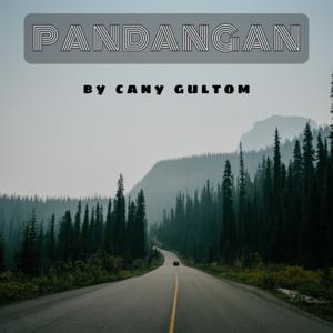 Pandangan