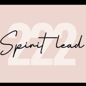 Spirit lead 222