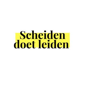 Scheiden doet Leiden by Maja Vande Velde