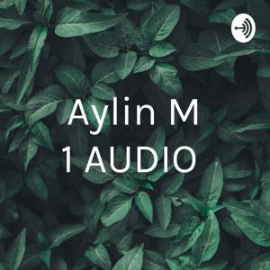 Aylin M 1 AUDIO