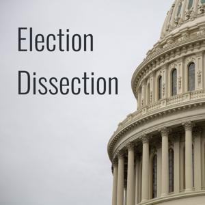 Election Dissection