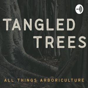 Tangled Trees