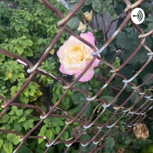 It’s just life!!!! So f&@$ it let’s talk!!!!