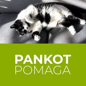 Pan Kot pomaga