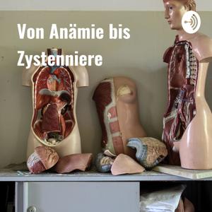 Von Anämie bis Zystenniere - Organspende aufgeklärt
