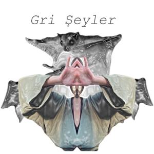 Gri Şeyler