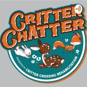 Critter Chatter