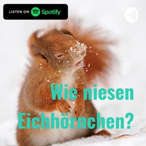 Wie niesen Eichhörnchen?