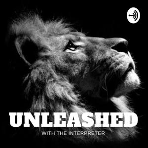 Unleashed With The Interpreter