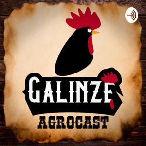 Galinzé Agrocast