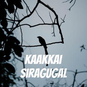 Kaakkai Siragugal