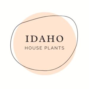 A Beginner’s Guide to House Plants by Lissa King
