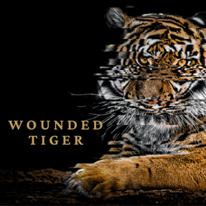 Wounded Tiger