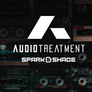 Audio Treatment