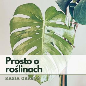 Prosto o roślinach