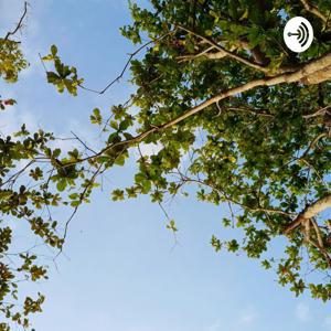 Bungsu Berceloteh by Si bungsu