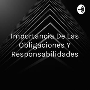 Importancia De Las Obligaciones Y Responsabilidades