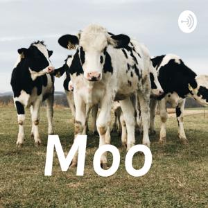 Moo