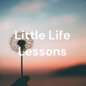 Little Life Lessons