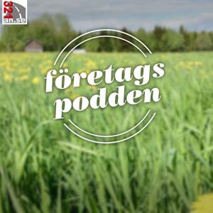 321ans företagspodd