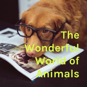 The Wonderful World of Animals