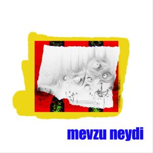 Mevzu Neydi