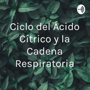 Ciclo del Ácido Cítrico y la Cadena Respiratoria