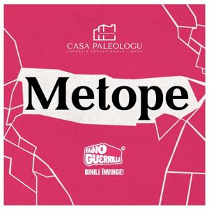 Metope: cultură și istorie by Theodor Paleologu