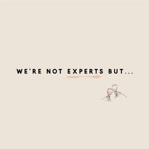 We're Not Experts, But...