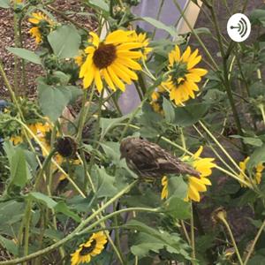 Irene’s Healing Journey