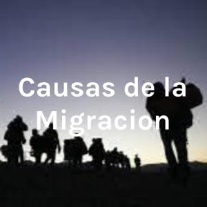 Causas de la Migracion