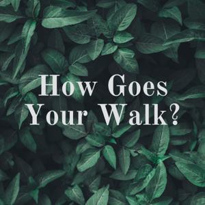 How Goes Your Walk?