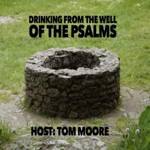 Drinking from the Well of the Psalms