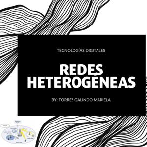 Redes heterogéneas