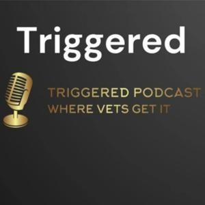 Triggered The Podcast