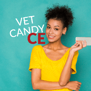 Vet Candy Continuing Education