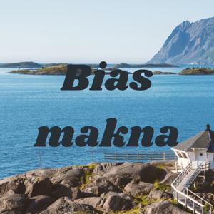 Bias makna