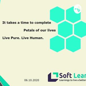 Softlearn Learnings