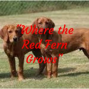 "Where the Red Fern Grows"