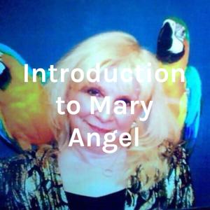 Introduction to Mary Angel